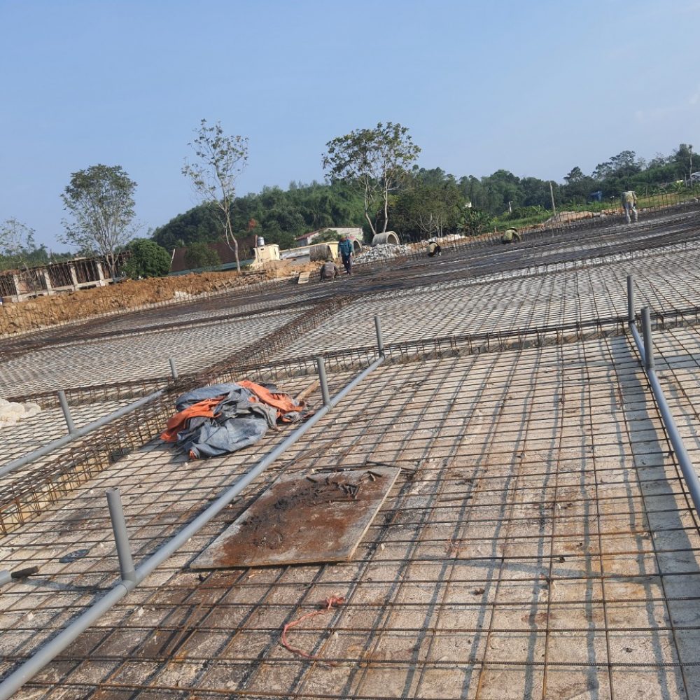 z5724241988686_d69b86a50067e23da4c819b5b48b0f07